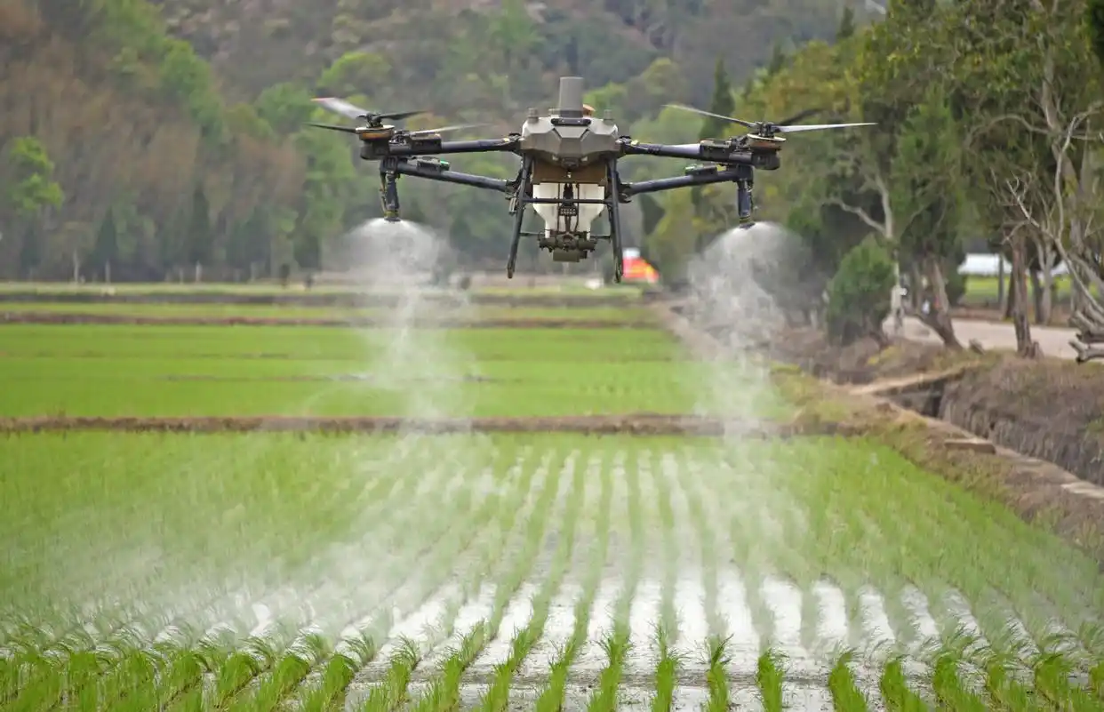 看无人机飞向浙里田野