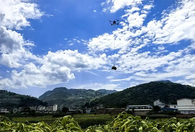 无人机“飞”进深山“低空物流”助采收